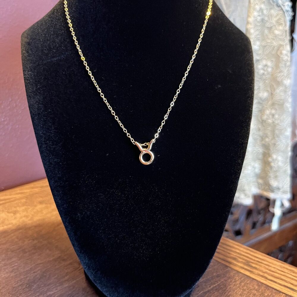 Taurus Gold Plated Necklace 16 in Whimsygoth Practical Magic Eccentric Zodiac